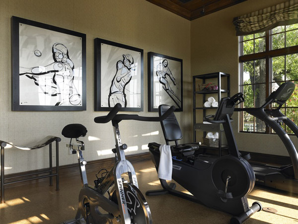 Well decorated home gym - I wonder what all that cardio equipment is facing