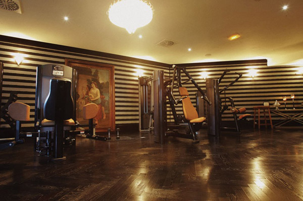 A rather fancy-pants home gym set up loaded with a bunch of commercial exercise equipment. I like the look, but the machines are meh. Where's the squat rack