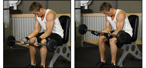 Barbell Wrist Curl - Click for instructions