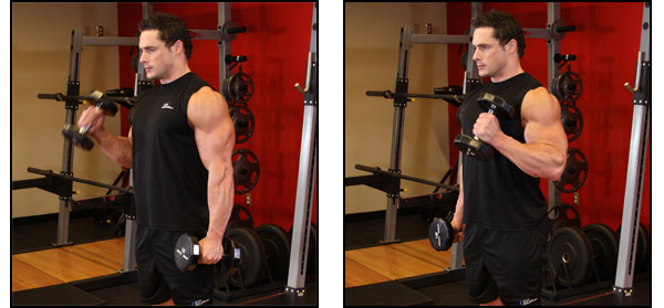 Dumbbell Hammer Curl - Click for instructions