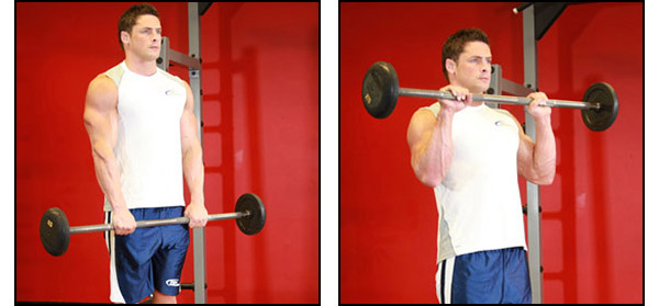 Dumbbell Barbell Curl - Click for instructions