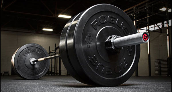 Bumper plates sets comparison and shopping guide