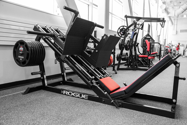 The Rogue Iso Leg Press 35