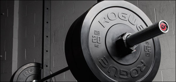 Rogue HG 2.0 Kilogram Black Bumper Plates