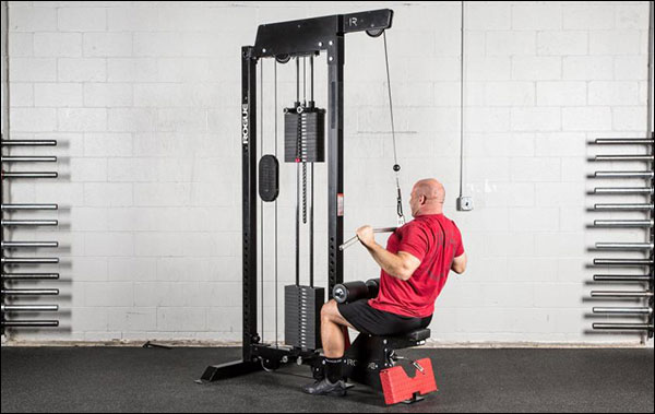 Rogue Stand Alone Lat Pulldown / Low Row Machine