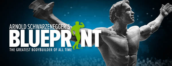 Arnold Schwarzenegger's Blueprint Workout Program from bodybuilding.com