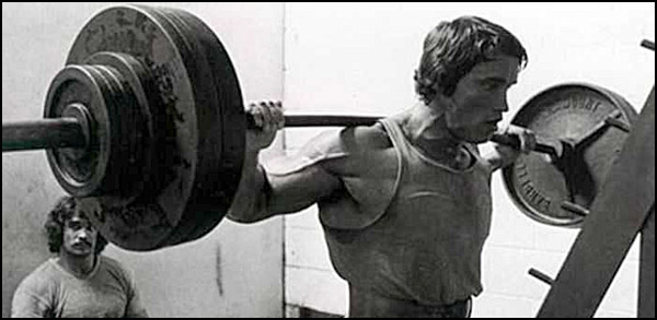 Great Garage Gym Workout Programs, including Arnold's Blueprint