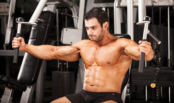 Free-Weight Alternative Exercises to the Pec Deck Machine