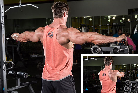 Reverse Cable Fly for the posterior deltoids Reverse Cable Fly for the posterior deltoids