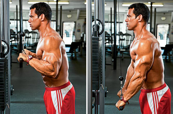 Free-weight and Body-weight Alternatives to the Tricep Pushdown