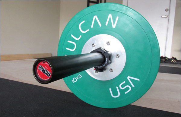 Vulcan Black Training Bearing Bar 