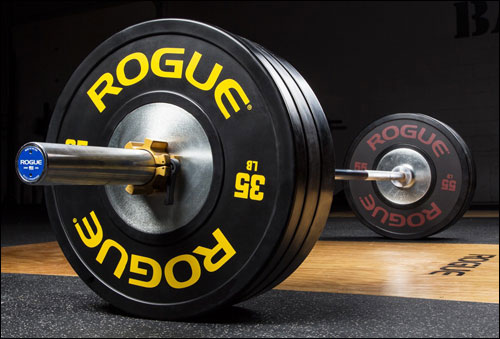 Rogue Training Bumper Plates 2.0 in black