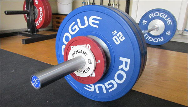 Rogue Euro Barbell Review