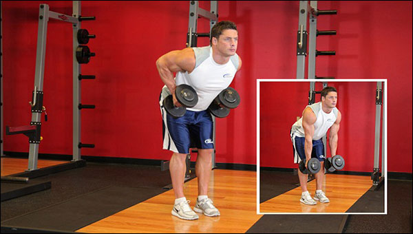 Bent-Over Dumbbell Rows - Garage Gym alternative to the seated cable row (image courtesy of bodybuilding.com)