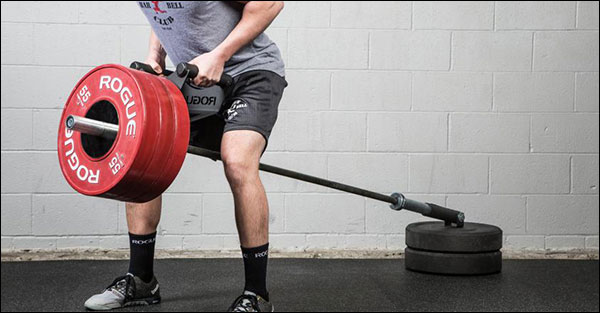 T-Bar Rows With Handles - Alternative To Cable Row Exercise - Garage Gyms