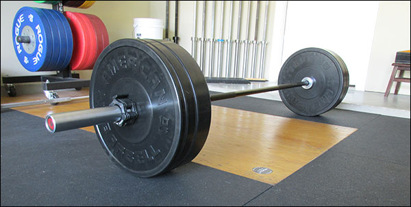 Review for Sport Bumper Plates from American Barbell