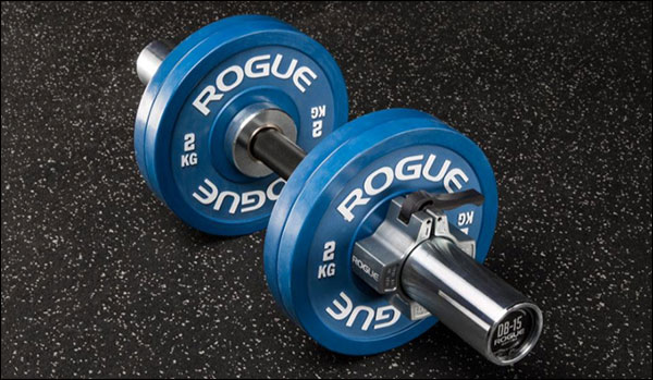 Rogue Loadable Dumbbell Handles with rubber change plates