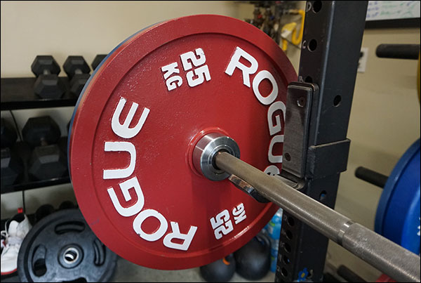 Rogue Calibrated Steel Powerlifting Discs