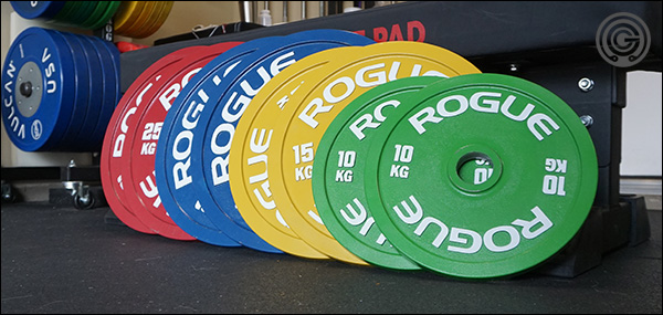 Rogue Calibrated Steel Plates Review