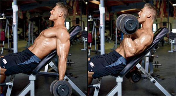 Incline Dumbbell Curls isolate the biceps very well with no special equipment