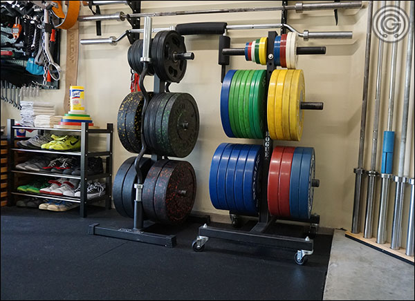 The Rep Bar & Bumper Plate Tree versus the Rogue Vertical Plate Tree 