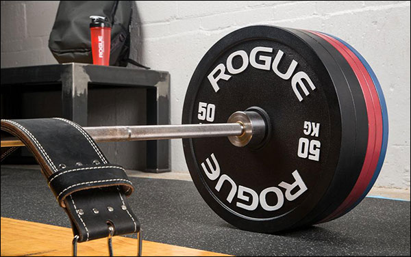 Rogue Fitness 50 kg Calibrated Steel Powerlifting Discs