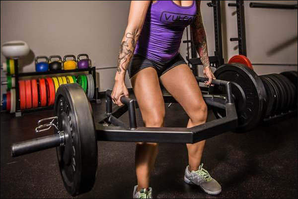 How much does the squat bar weigh at planet fitness Trap Bar Hex Bar Shopping Guide